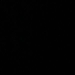 Meet your Posher, Fiona